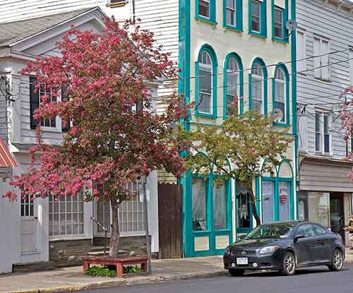 A flowering tree stands in front of a local storefront in Deposit, NY